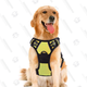 Don’t hook a leash into your dog’s collar, instead, strap them into a Rabbitgoo Dog No-Pull Pet Harness and keep them from hurting their neck.